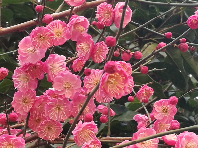 太阳成集团tyc7111cc