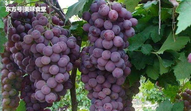 太阳成集团tyc7111cc