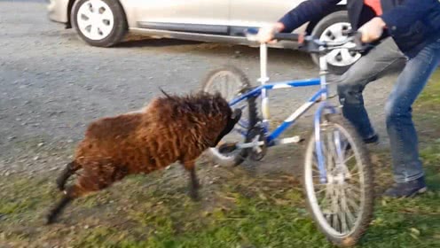 太阳成集团tyc7111cc