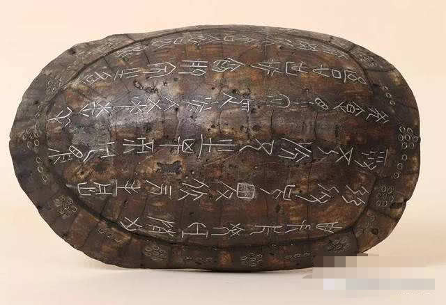 太阳成集团tyc7111cc