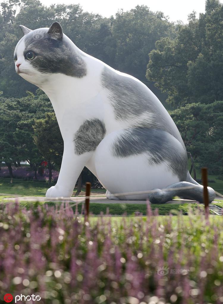 穆帅:摄影师们24小时跟拍我 除了我上厕所的时候:太阳成集团tyc7111cc(图3) 太阳成集团tyc7111cc