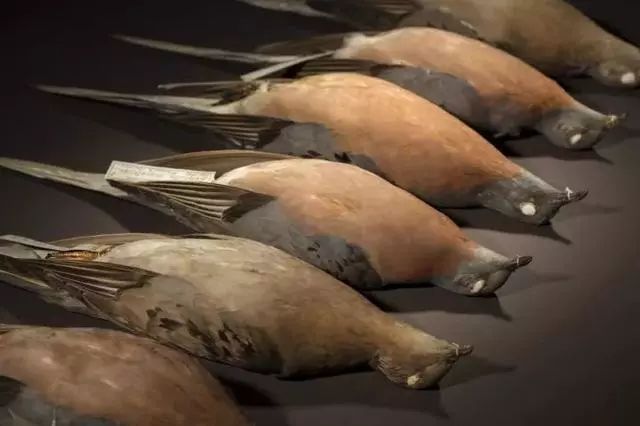 太阳成集团tyc7111cc