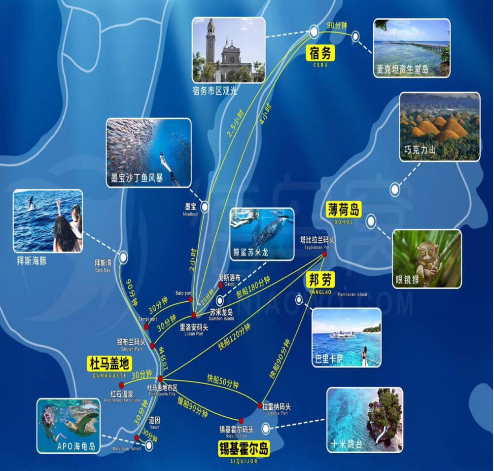 太阳成集团tyc7111cc