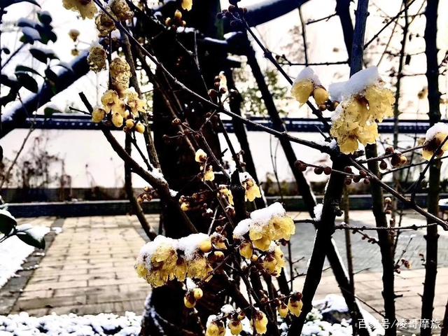 太阳成集团tyc7111cc